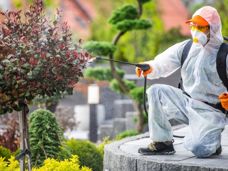 İçmeler Haşere İlaçlama